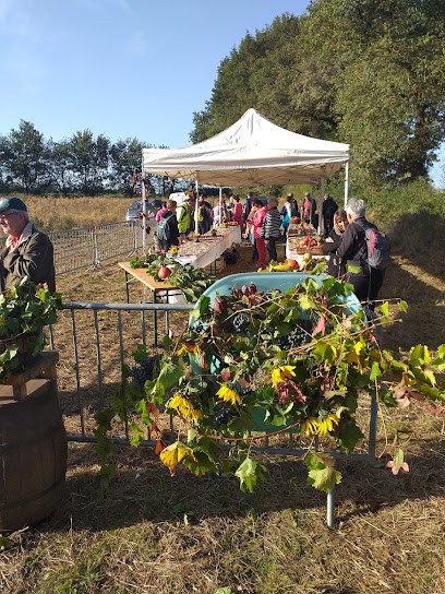 La Fraternelle, Bar à Thouars