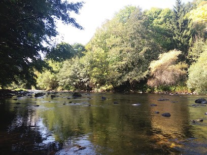 Tissier Simone, Bar à Ferrières-Saint-Mary