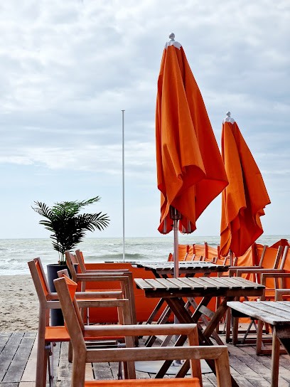 O'safran - Beach, Bar, Restaurant, Bar au Touquet-Paris-Plage