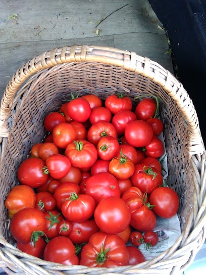 Roisse Matthieu, Bar à Trélazé