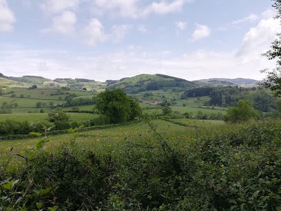 Tramayescope, Bar à Tramayes