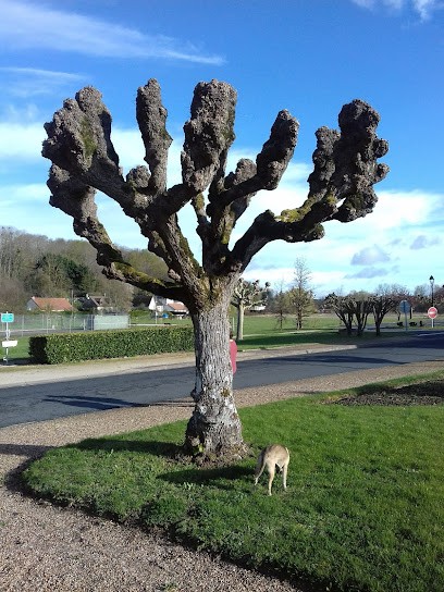 Nozacmeur Sebastien, Bar à Seigy