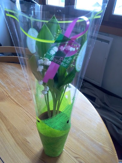 Bar des Sports, Bar à Magland