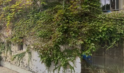 Made In Midi, Bar à Montferrier-sur-Lez