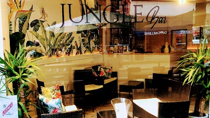 Jungle Bar, Bar à Vichy