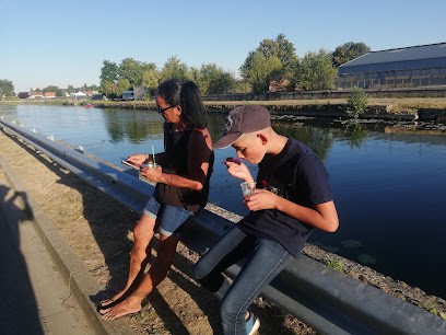 Binet Jean-François, Bar à Ham