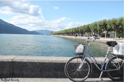 Sarl Sacha, Bar à Sarreguemines