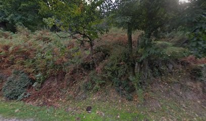 Bar Des Amis, Bar à Olmi-Cappella