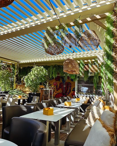 Le Paseo - Cocktail Club & Food, Bar à La Grande-Motte